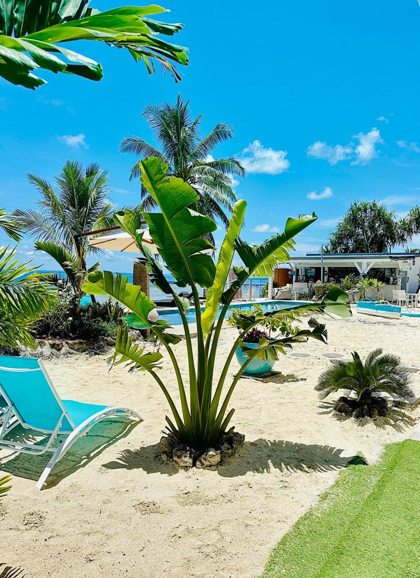 Pension Irivai Appartement Puatou 1 Chambre Bord De Mer Uturoa Dış mekan fotoğraf